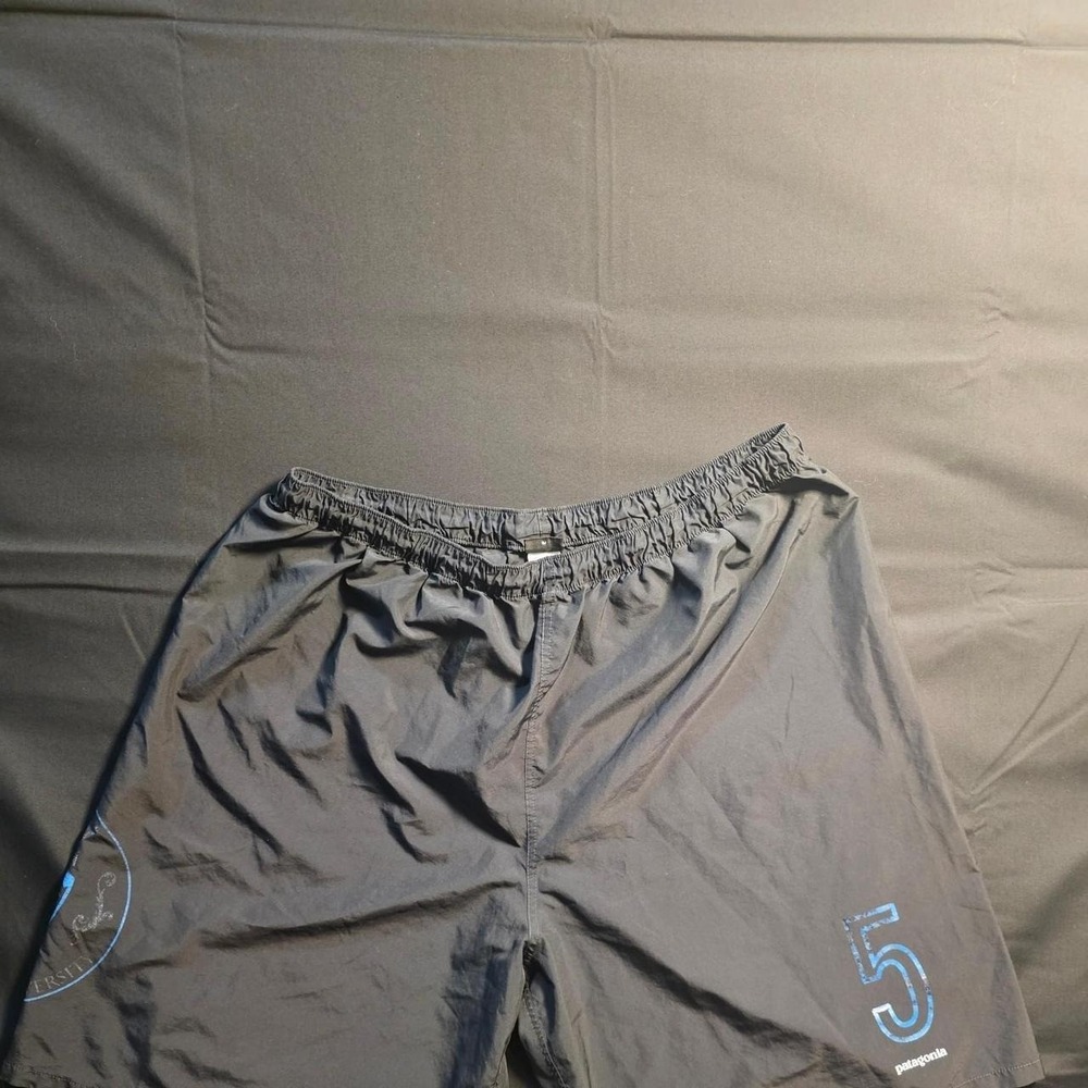 Patagonia Shorts